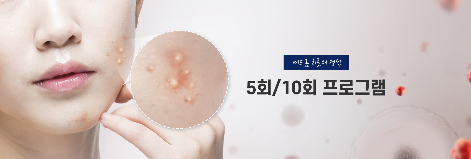 5주/10주 프로그램 키비주얼