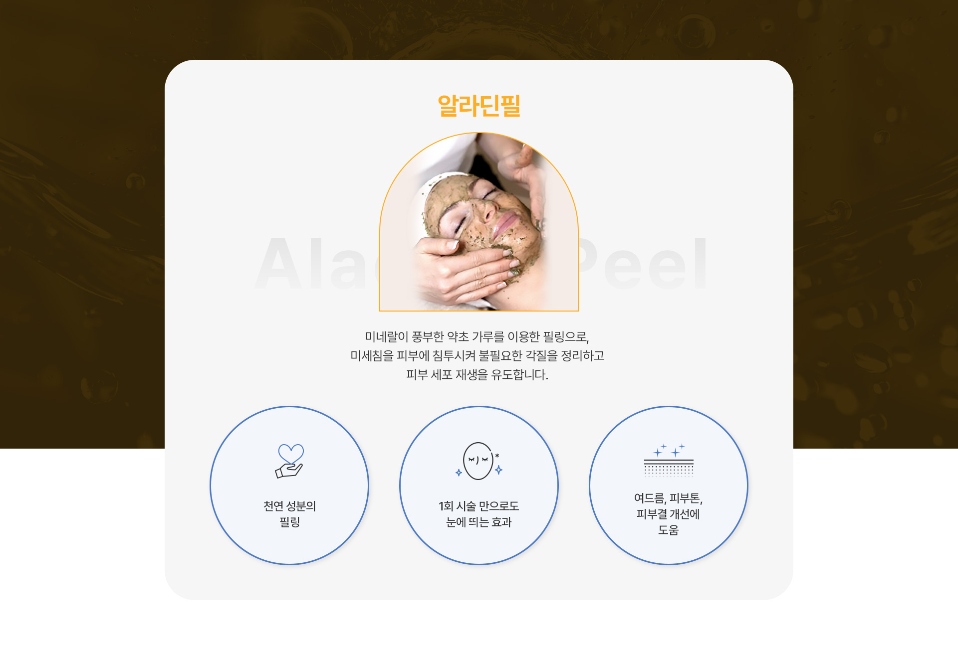 알라딘필 1번내용