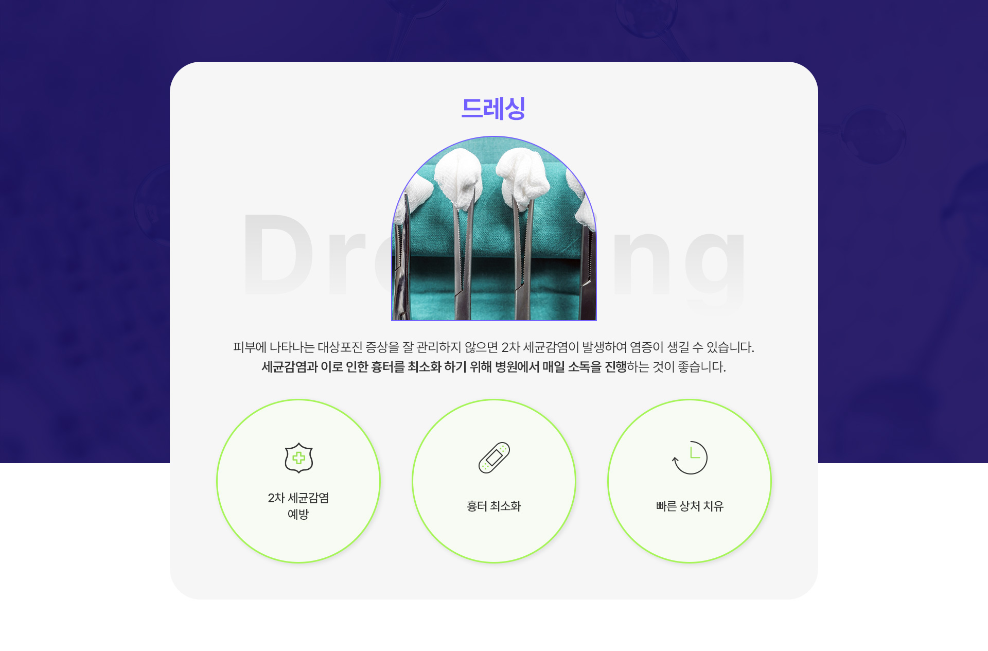 드레싱 1번내용
