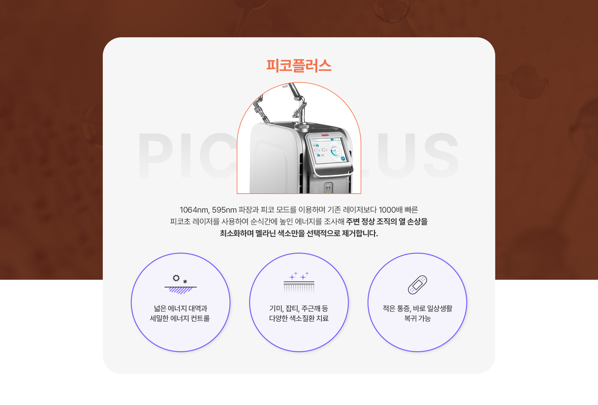 피코플러스 1번내용