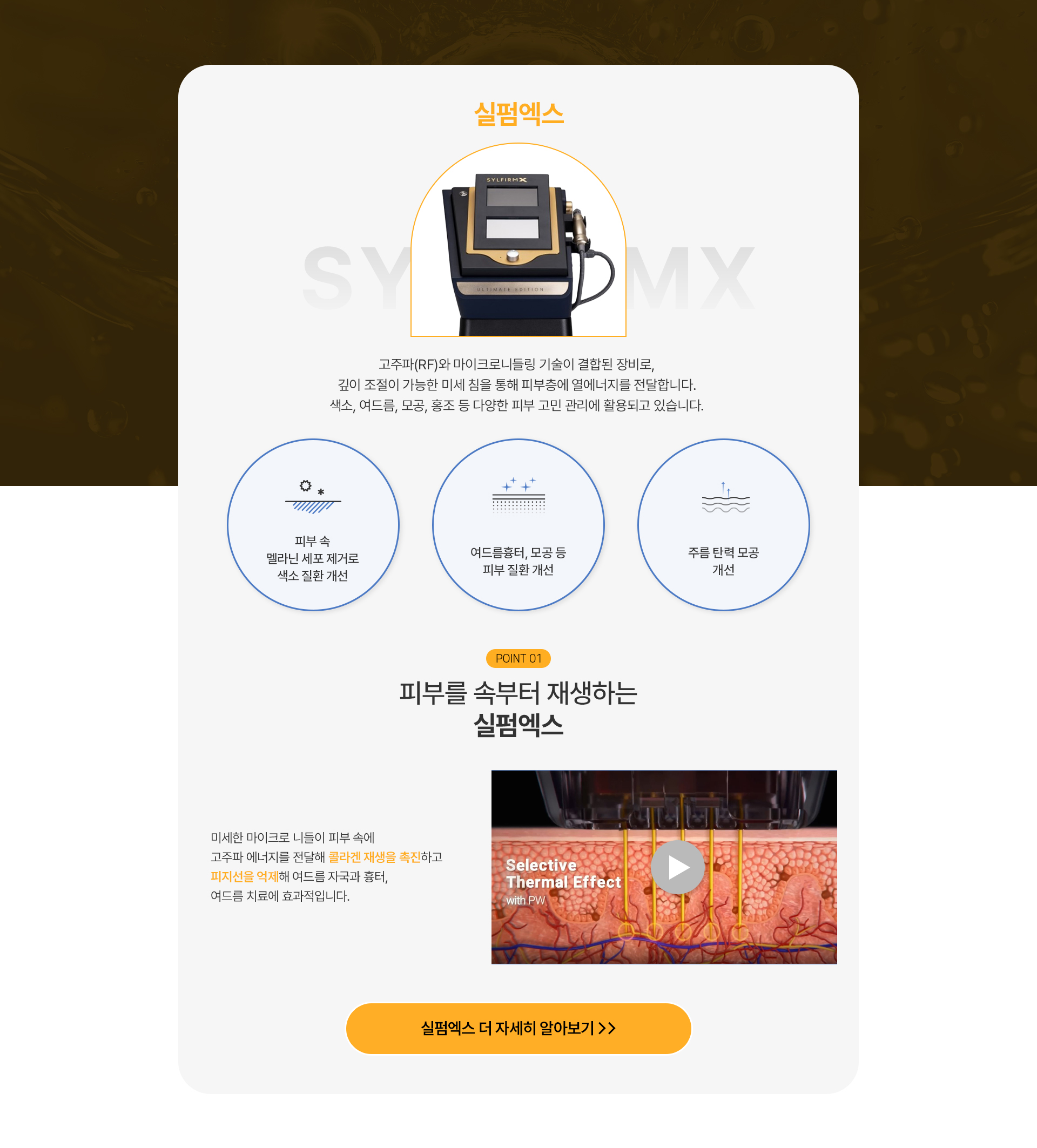 실펌엑스 1번내용