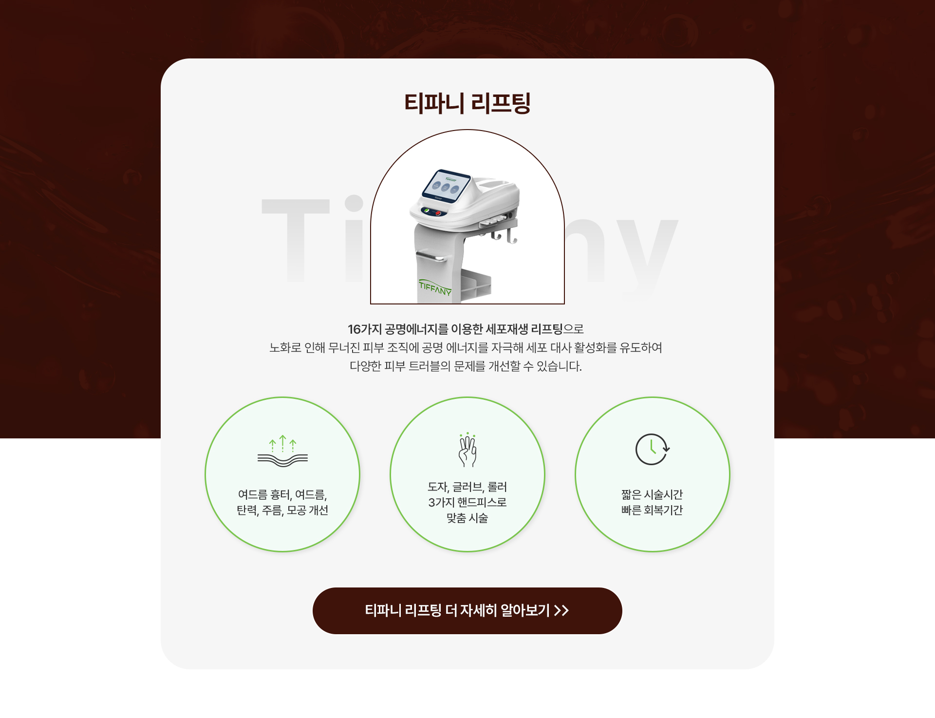 티파니 리프팅 1번내용