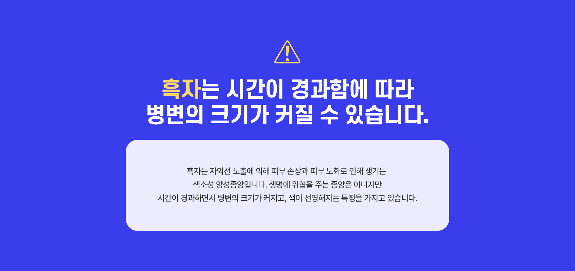 군집성흑자종 가격안내
