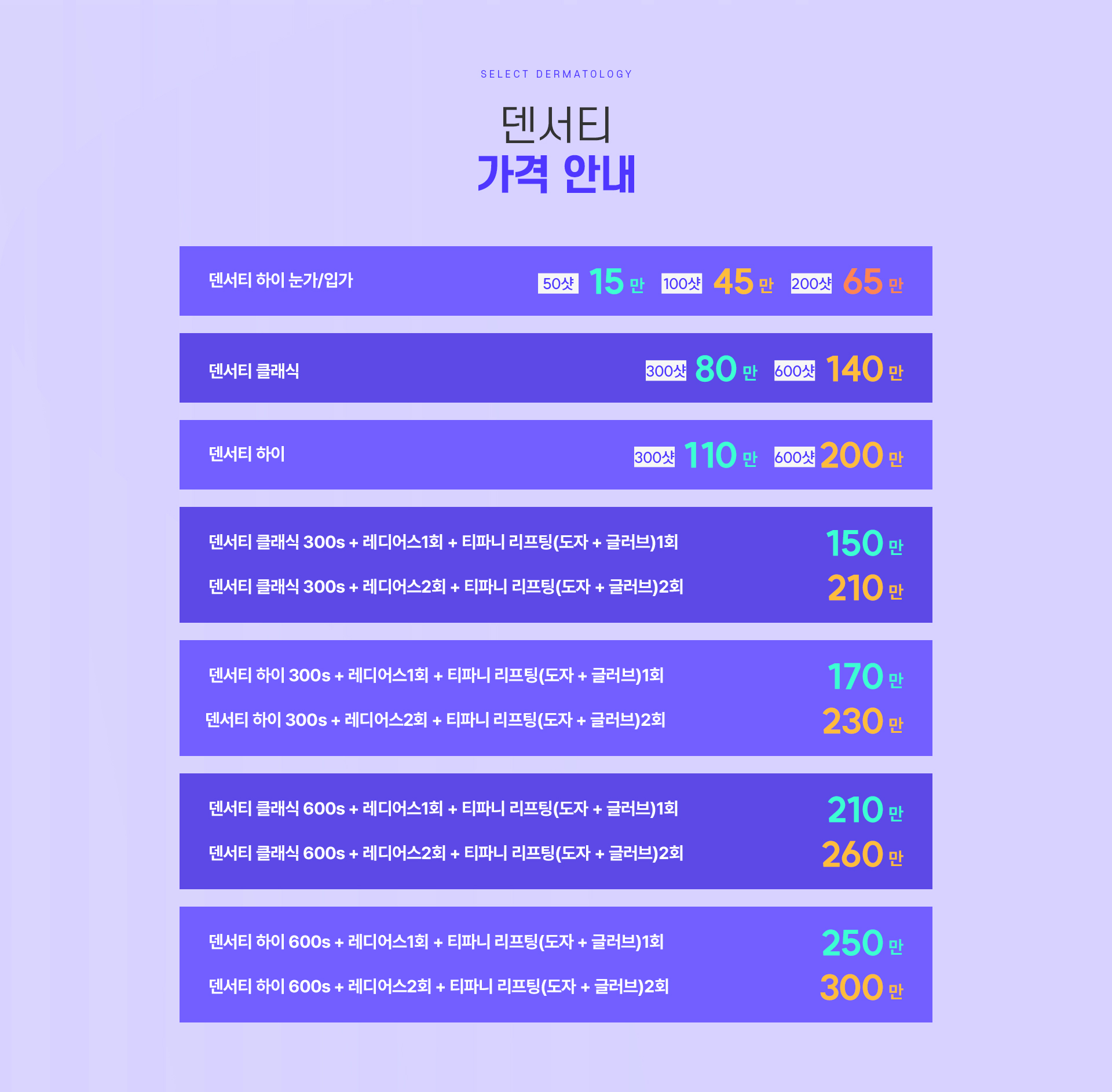 덴서티 가격안내