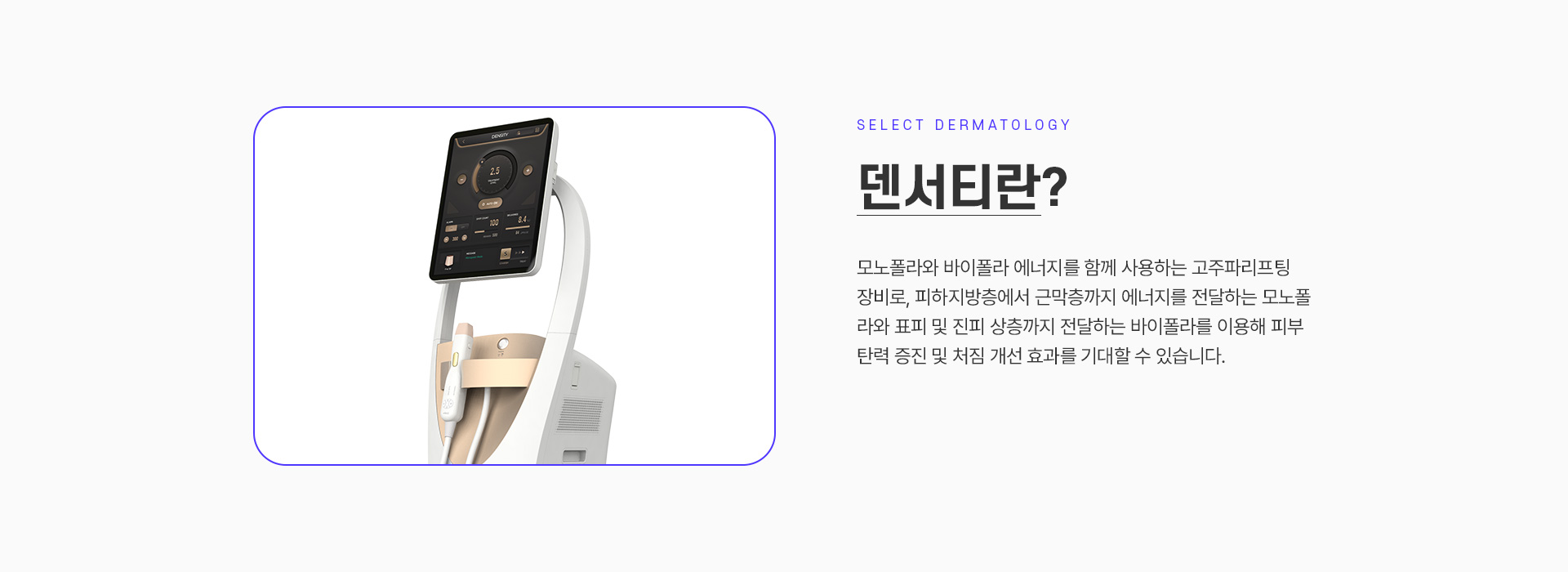 덴서티 설명