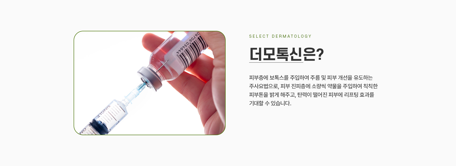 더모톡신 소개