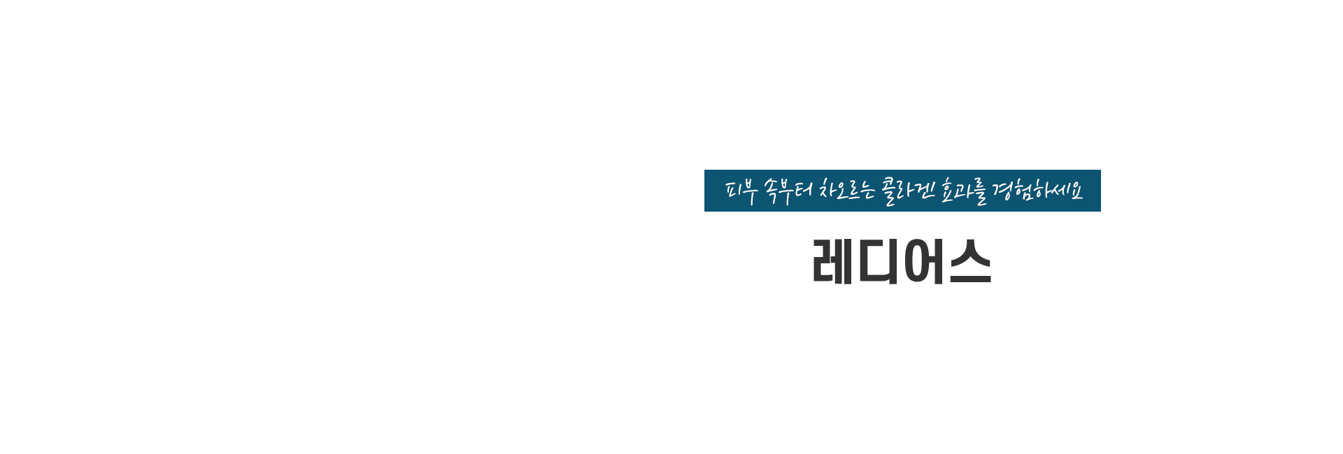 래디어스 키비주얼