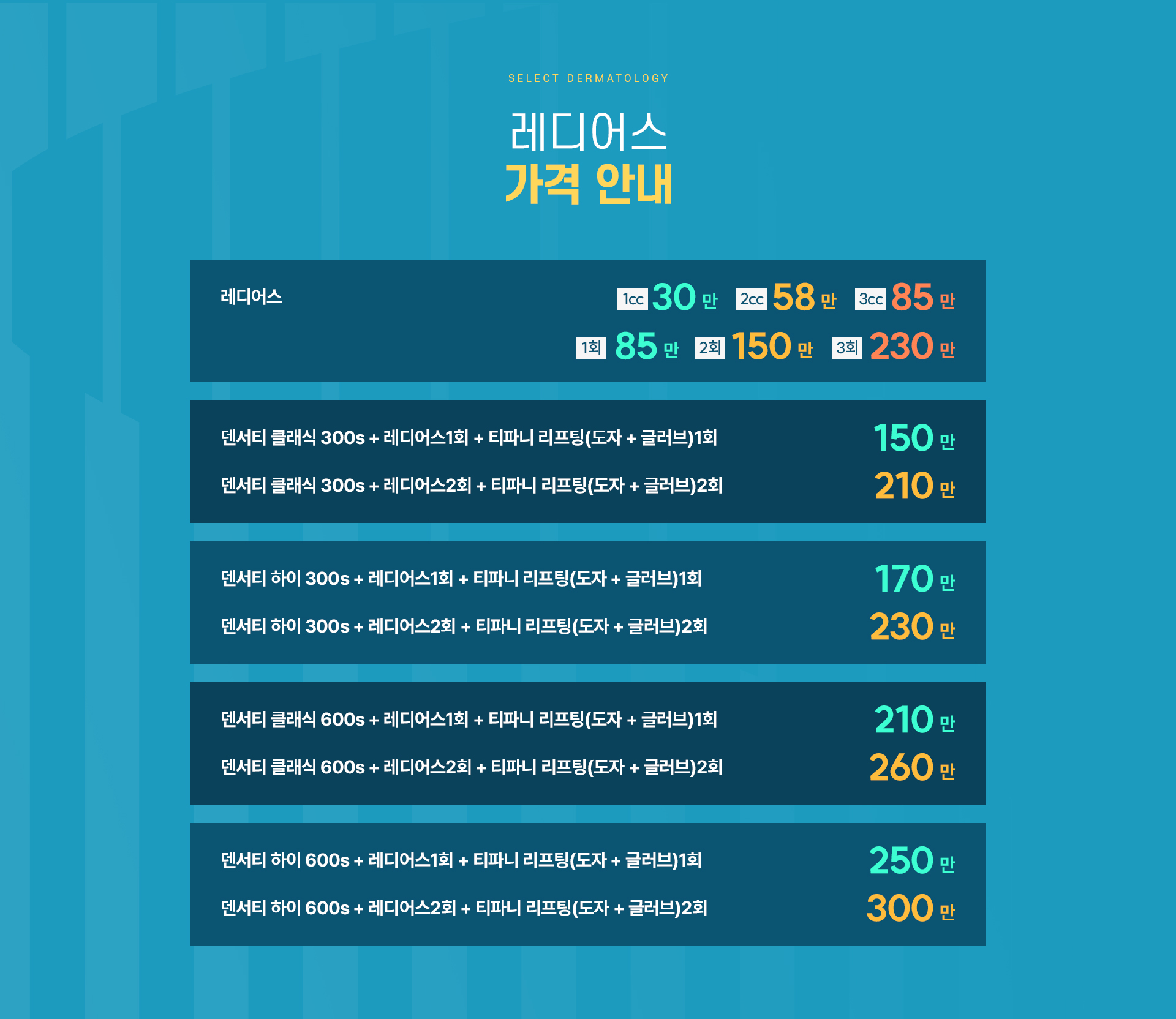 래디어스 가격안내