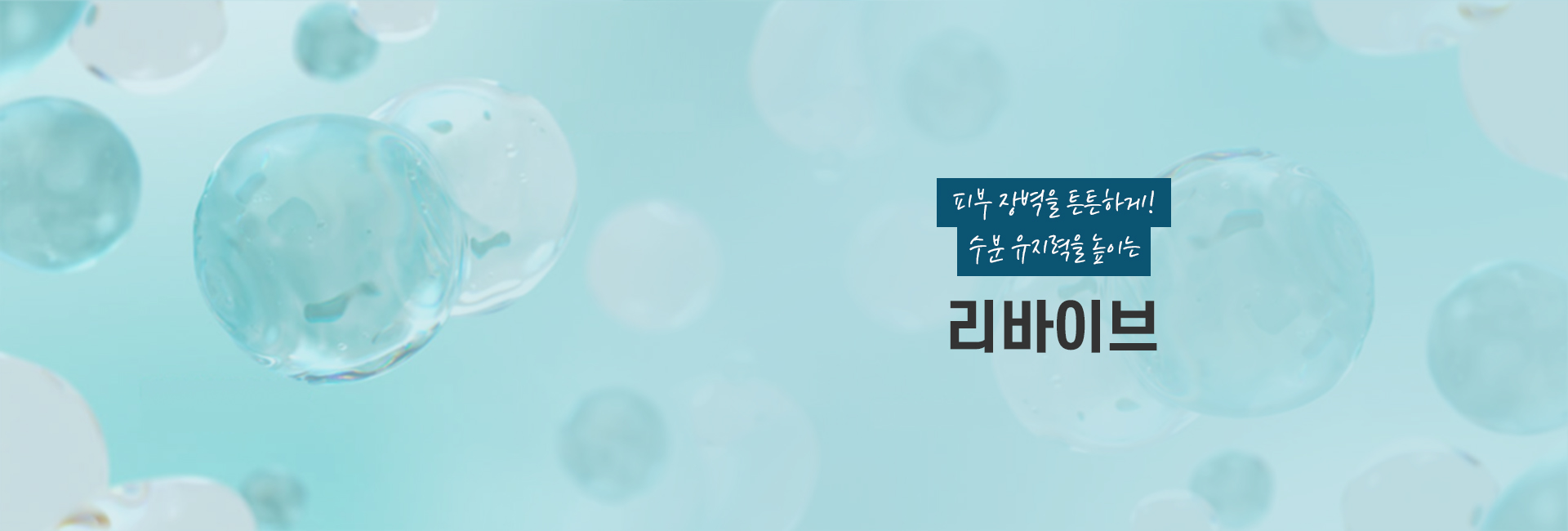 리바이브 키비주얼