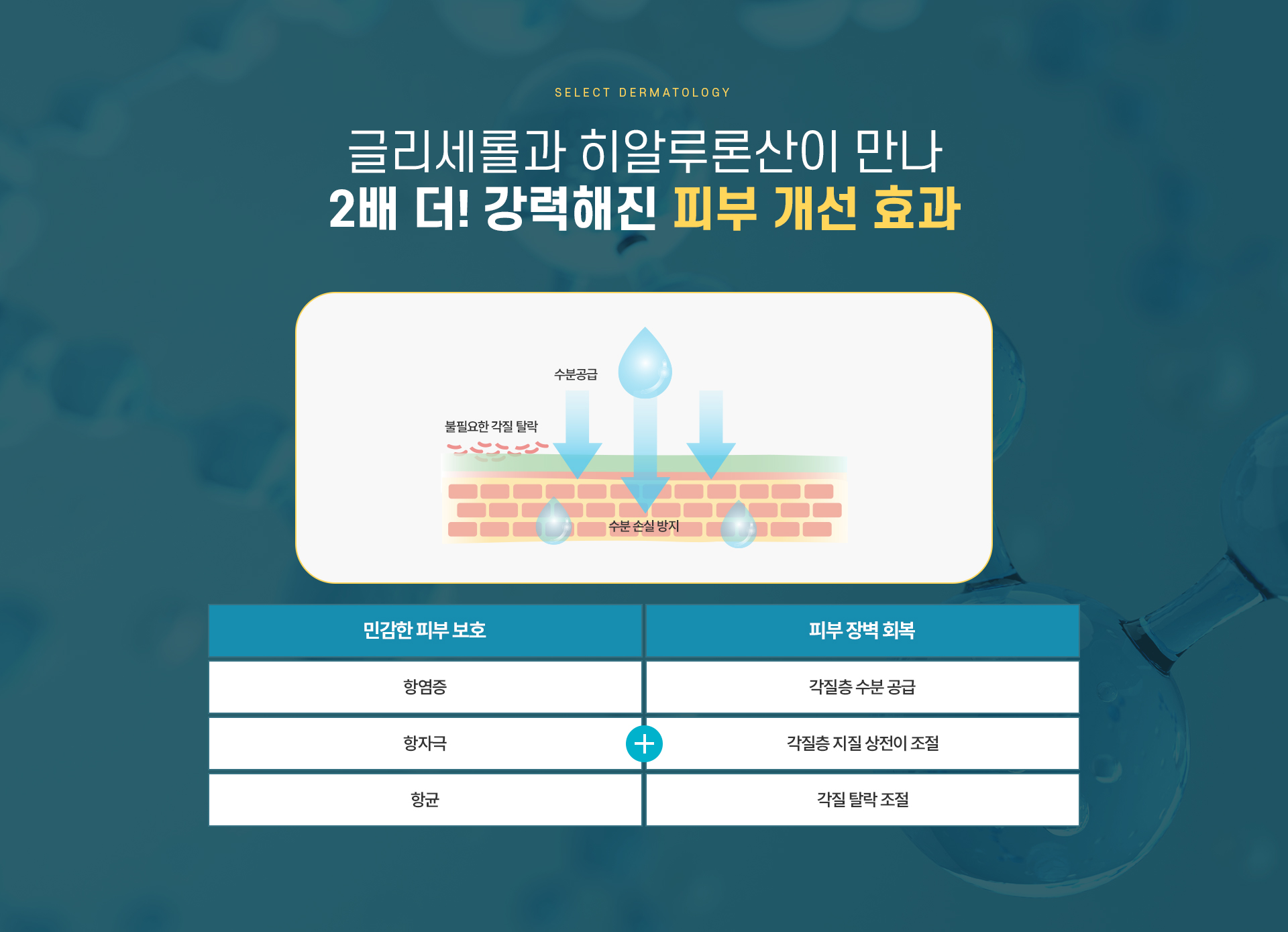 리바이브 치료방법