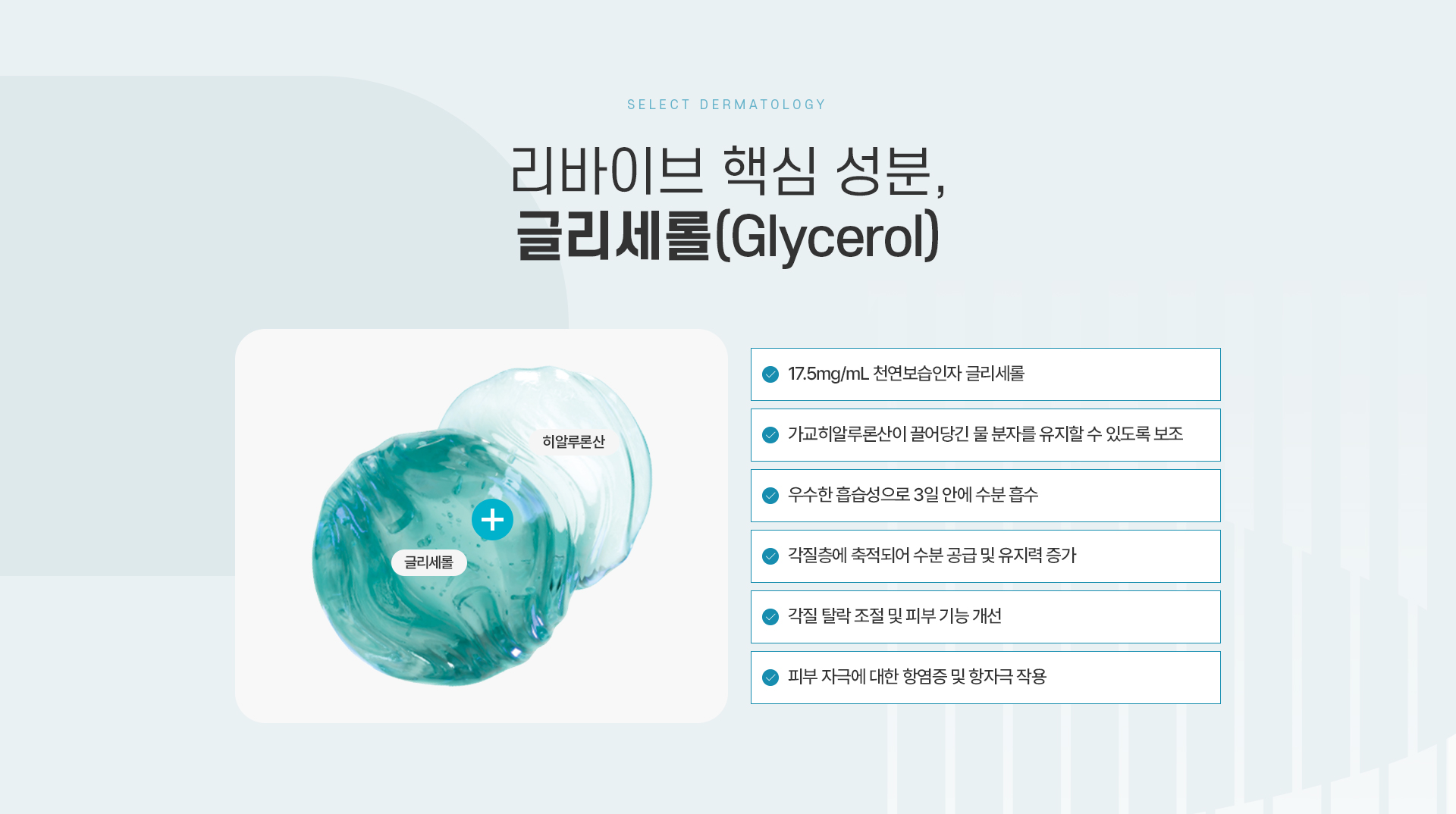 리바이브 치료방법