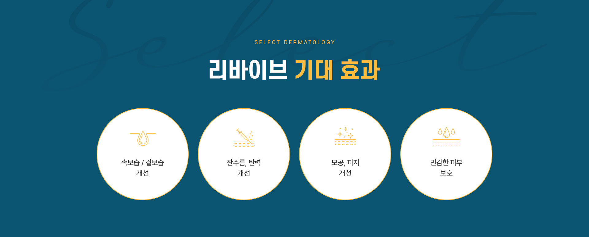 리바이브 기대효과