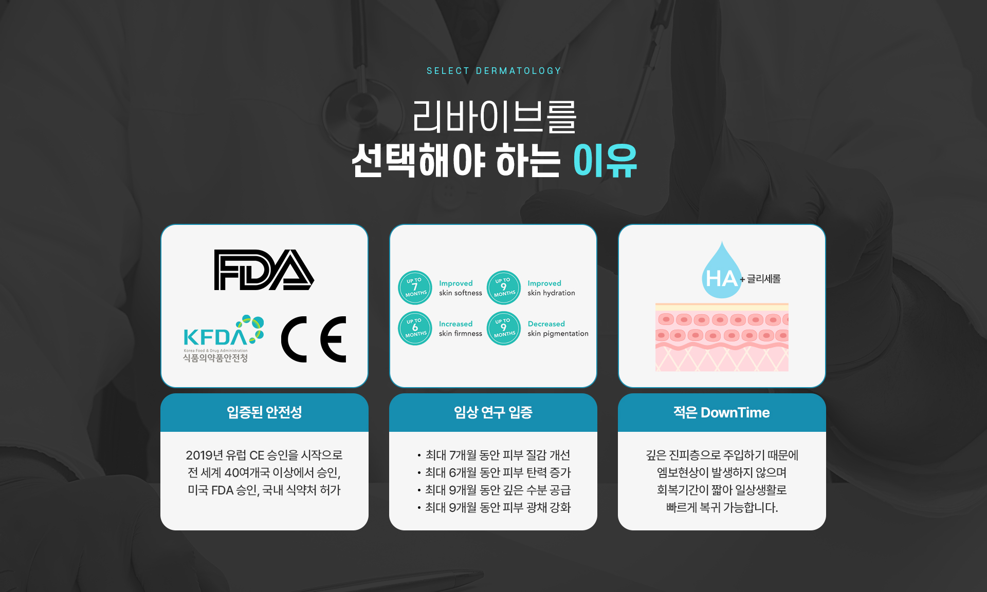 리바이브 선택이유
