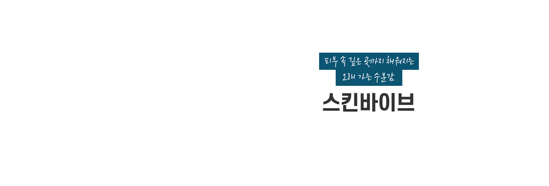 스킨바이브 키비주얼