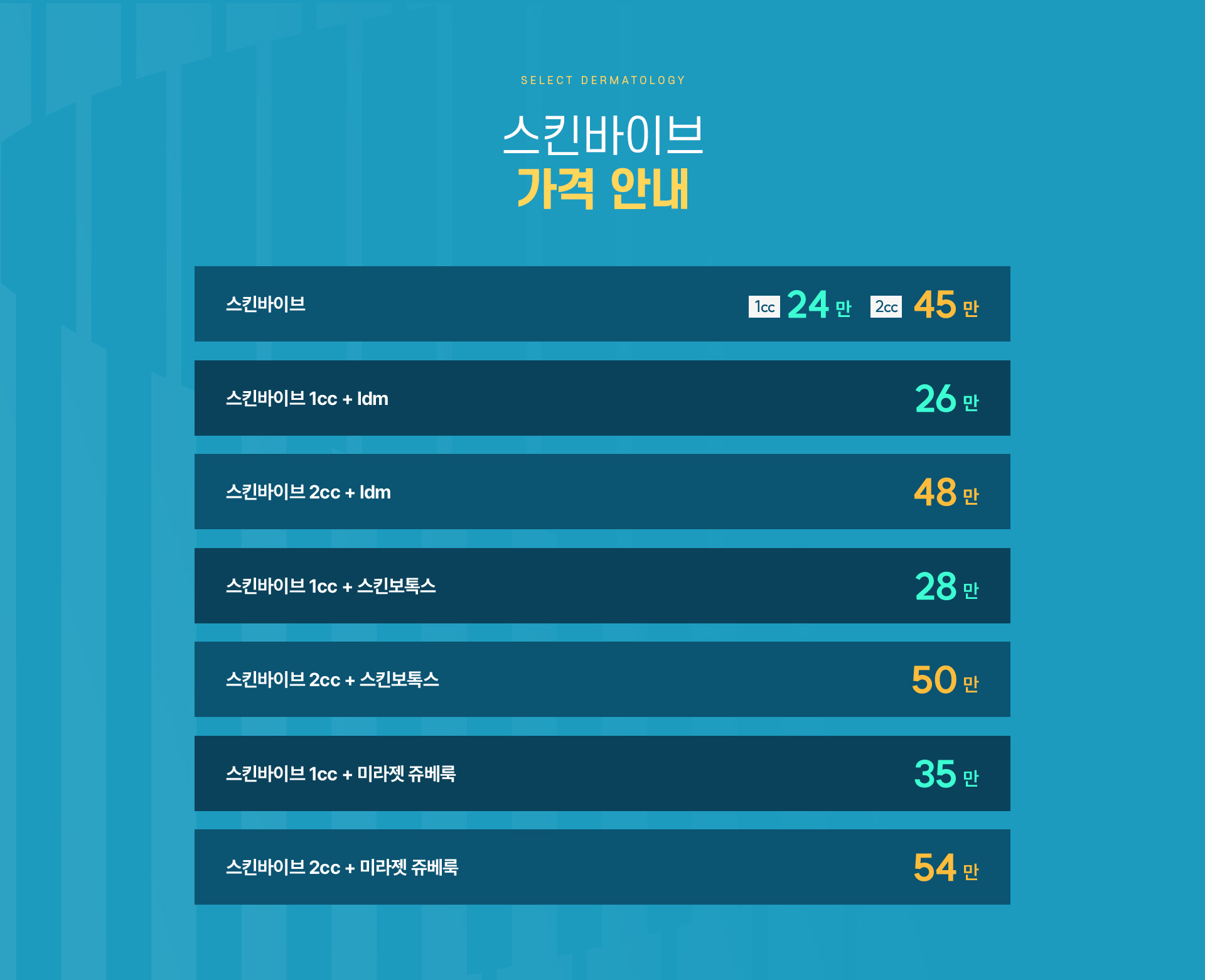 스킨바이브 가격안내