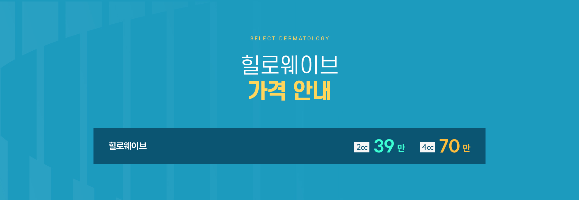 힐로웨이브 가격안내