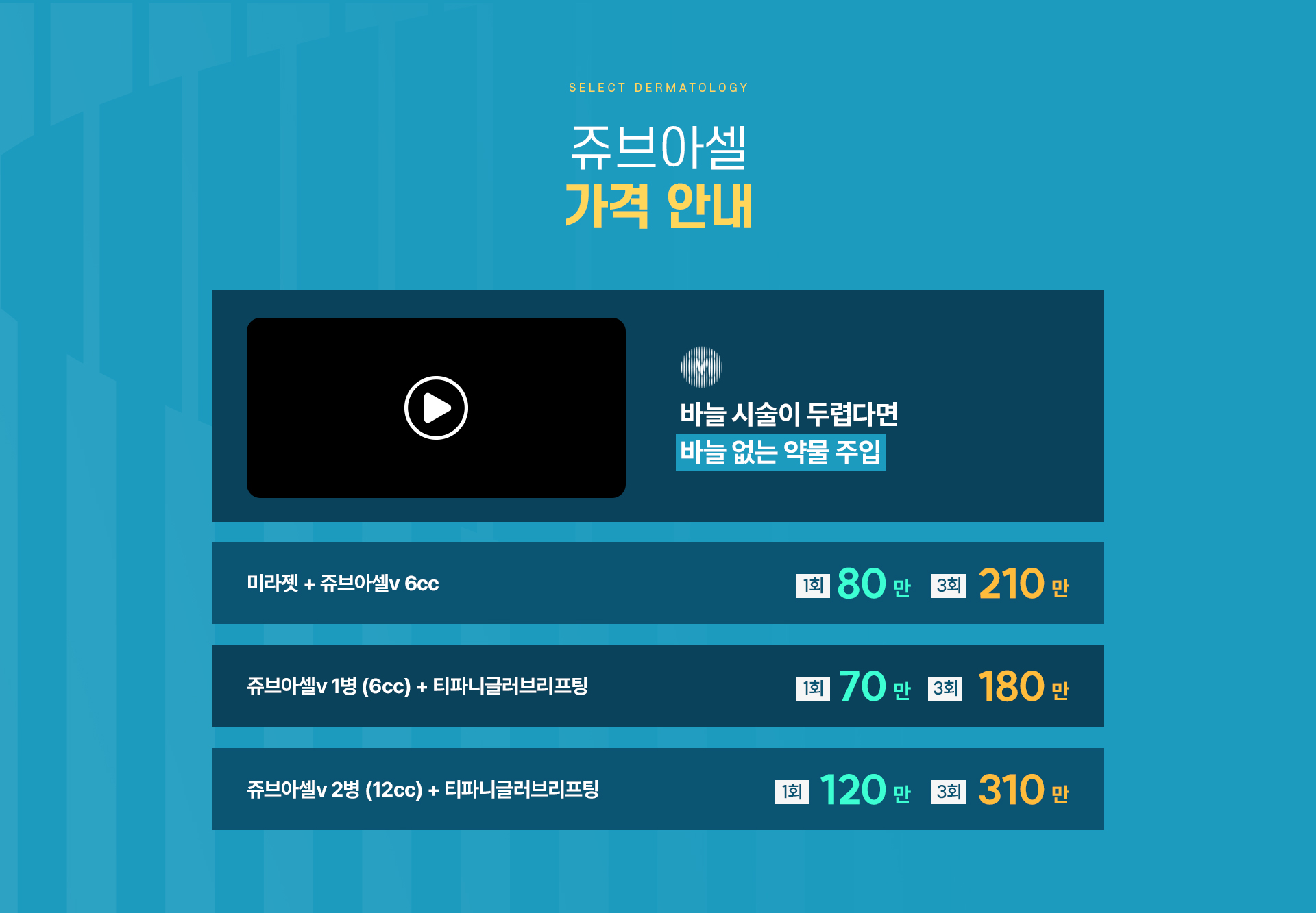 쥬브아셀V 가격안내