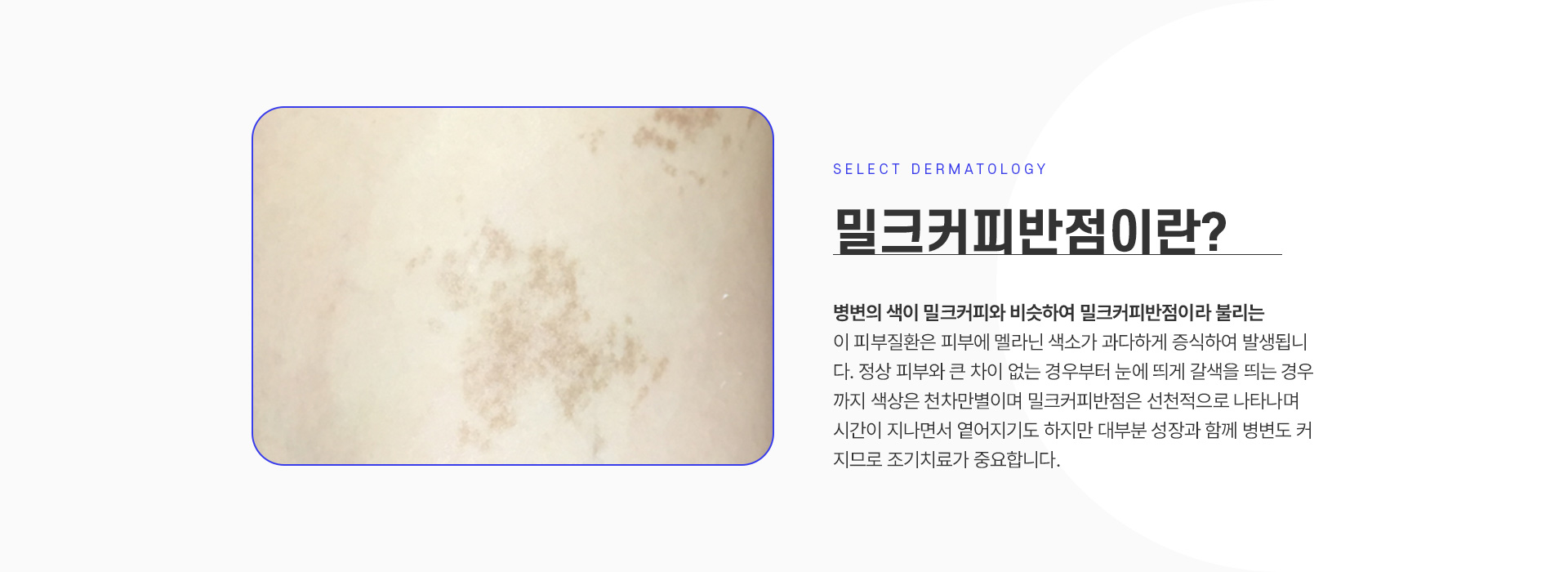 밀크커피반점 소개