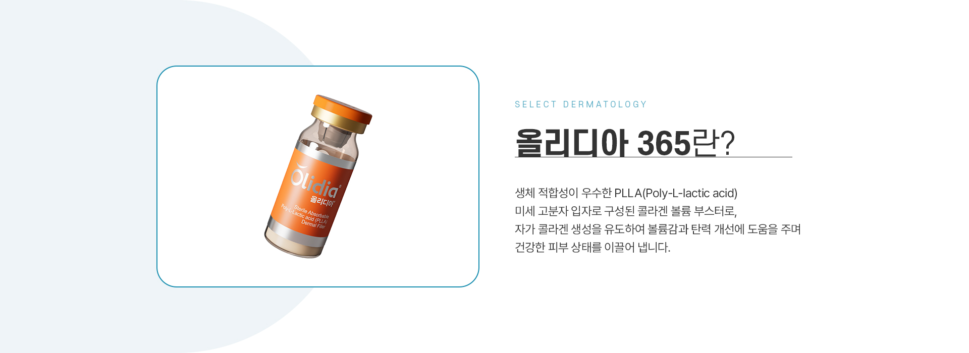 올리디아 설명