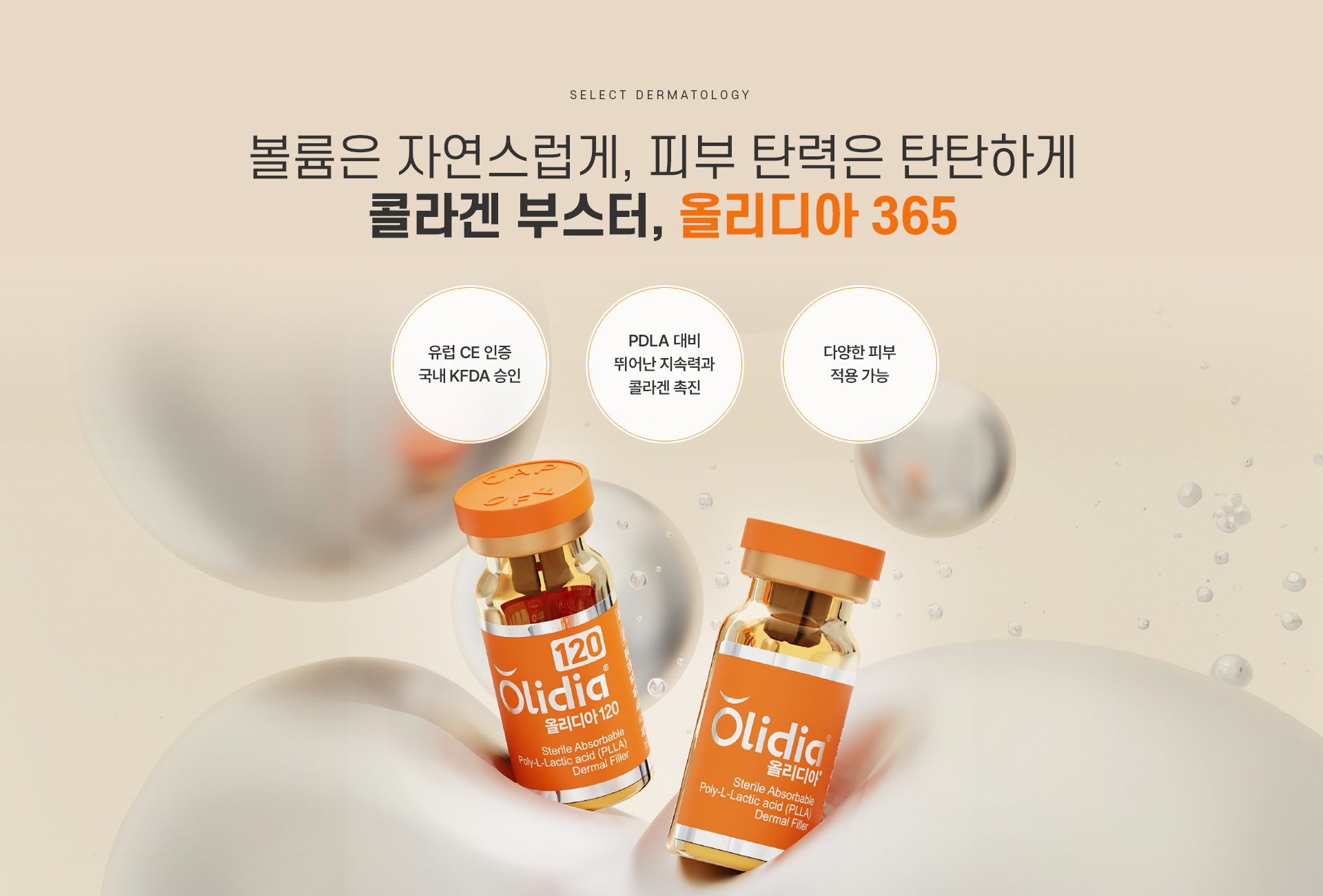 올리디아 설명