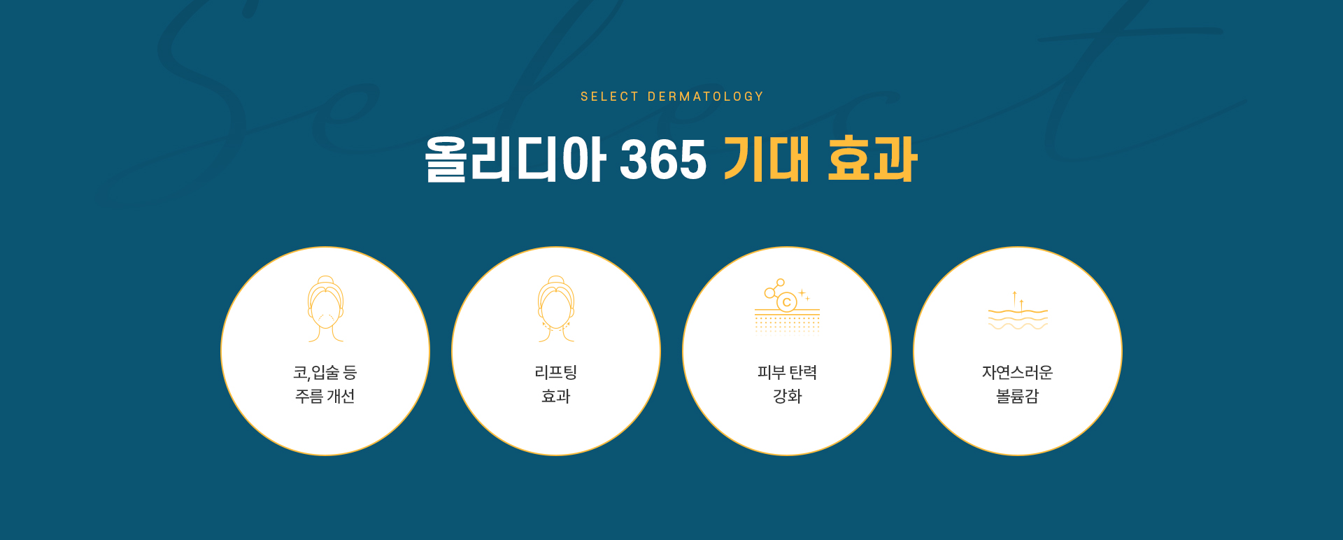 올리디아 기대효과