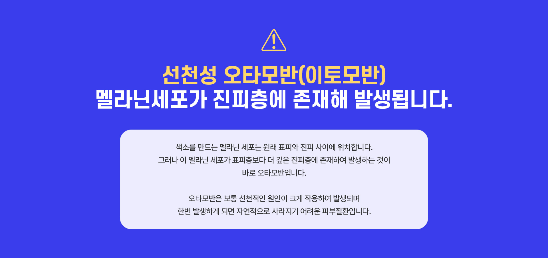 선청성오타모반 가격안내