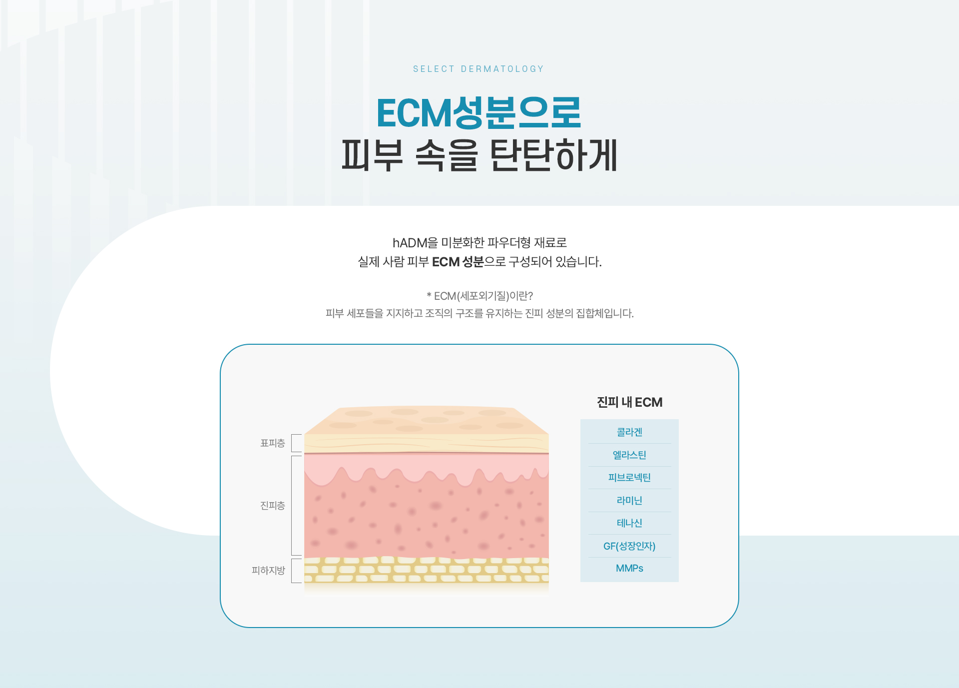 리투오 치료방법