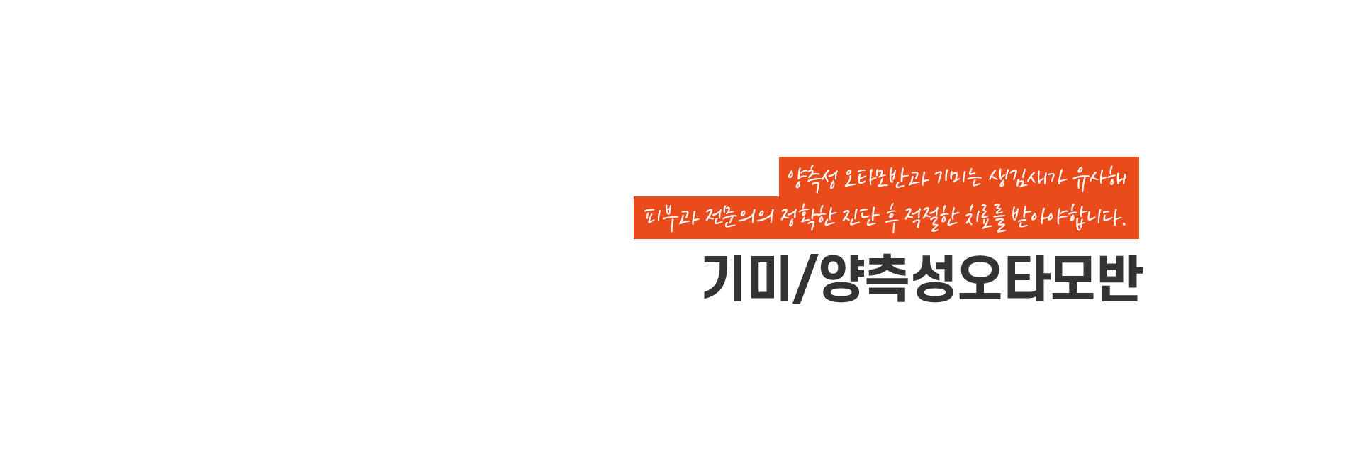 오타모반 키비주얼