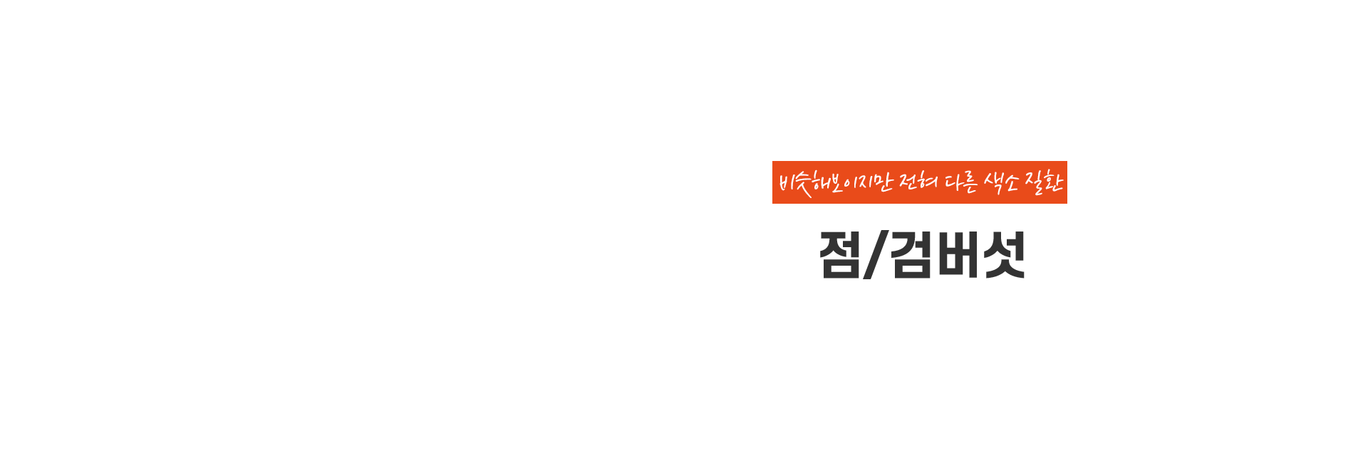 점검버섯 키비주얼