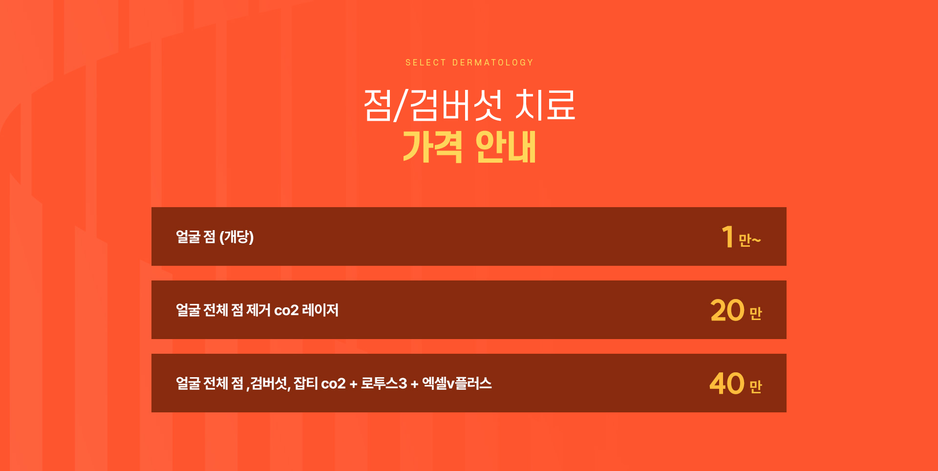 점검버섯 가격안내