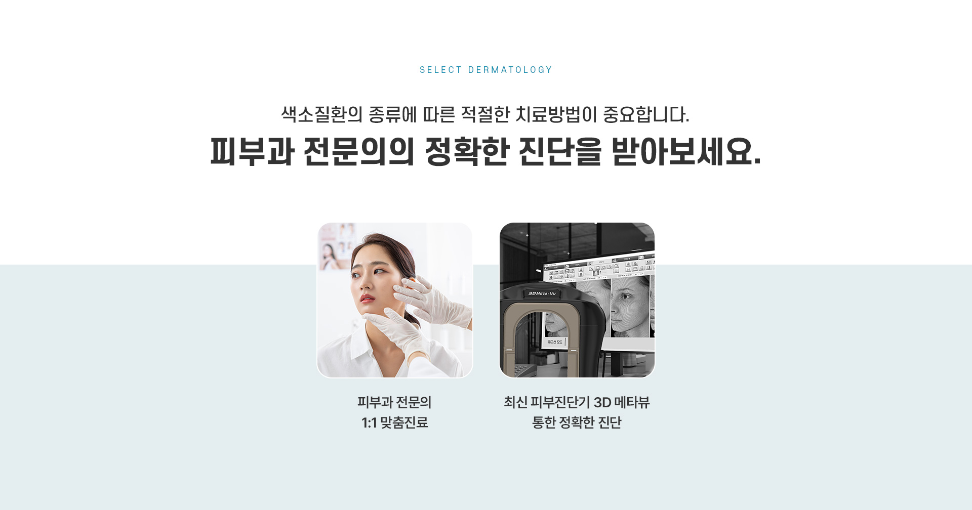 점검버섯 전후사진
