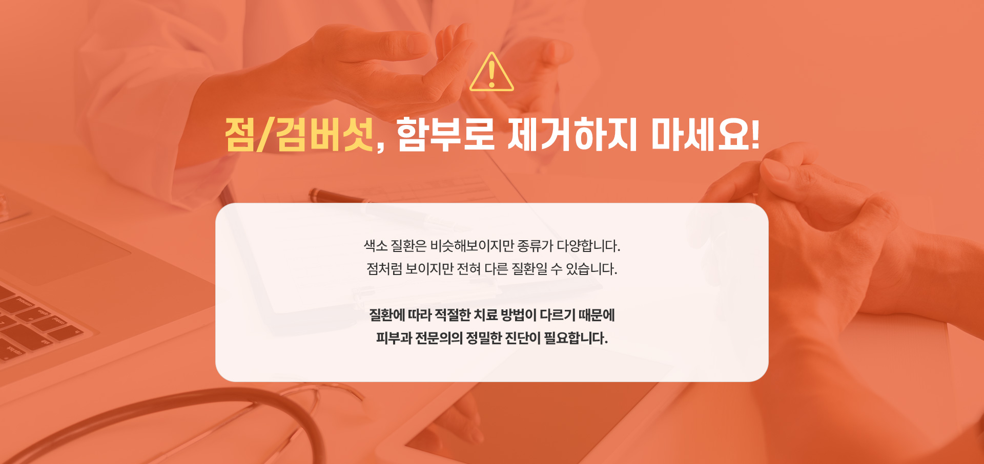 점검버섯 종류
