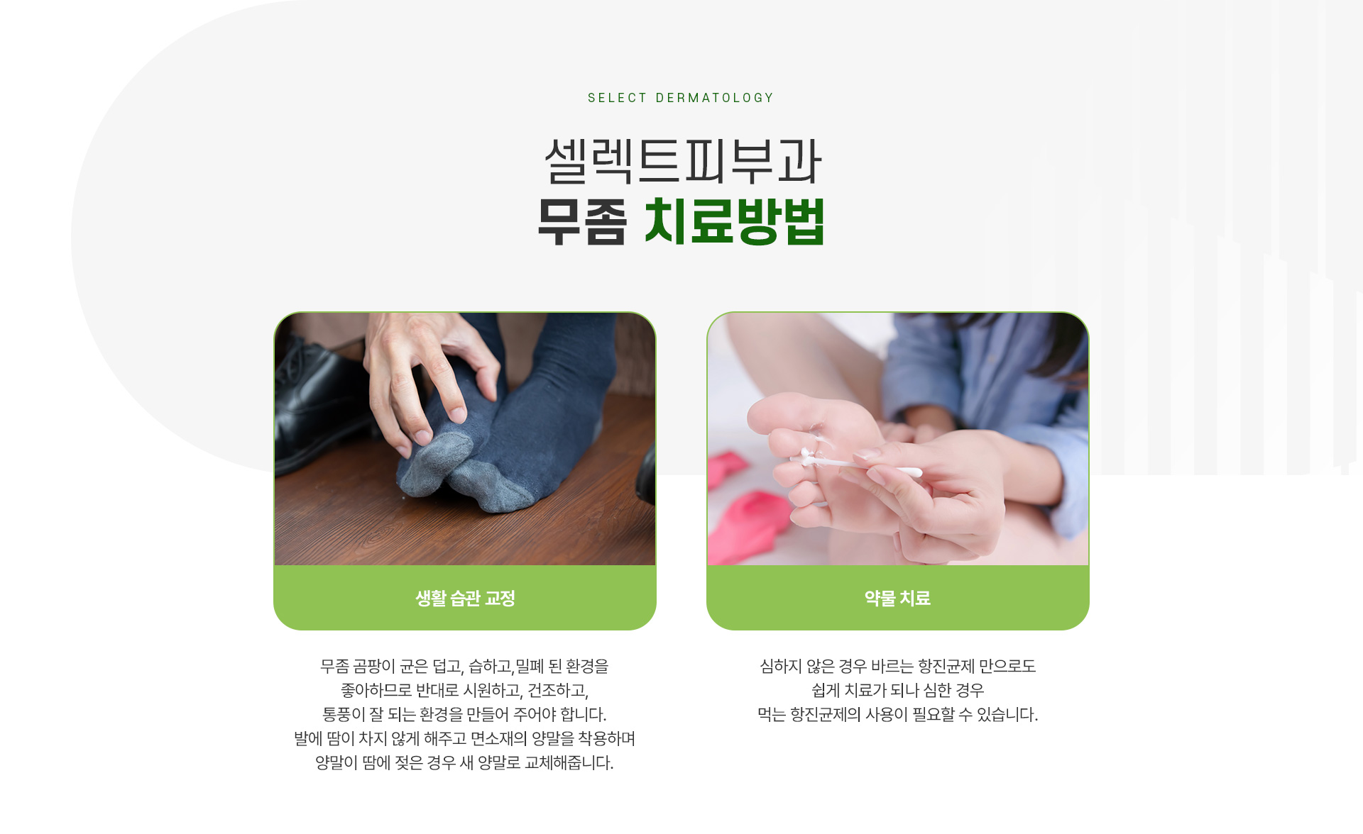 백선 치료방법