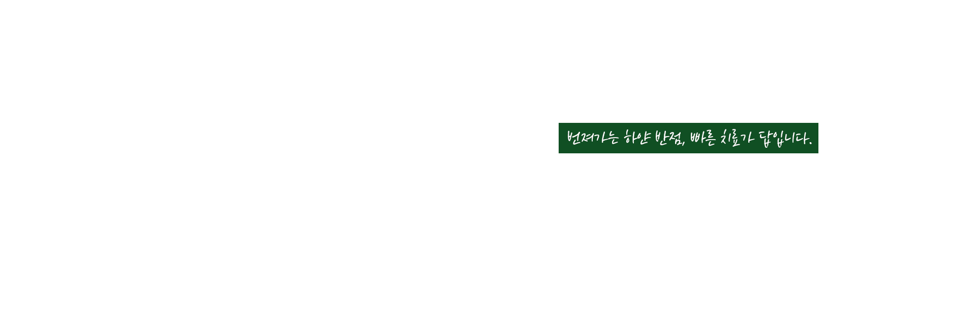백반증 키비주얼