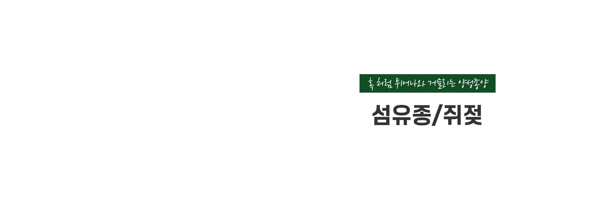 섬유종/쥐젖 키비주얼