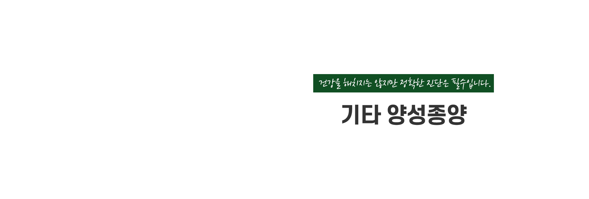 기타양성종양 키비주얼