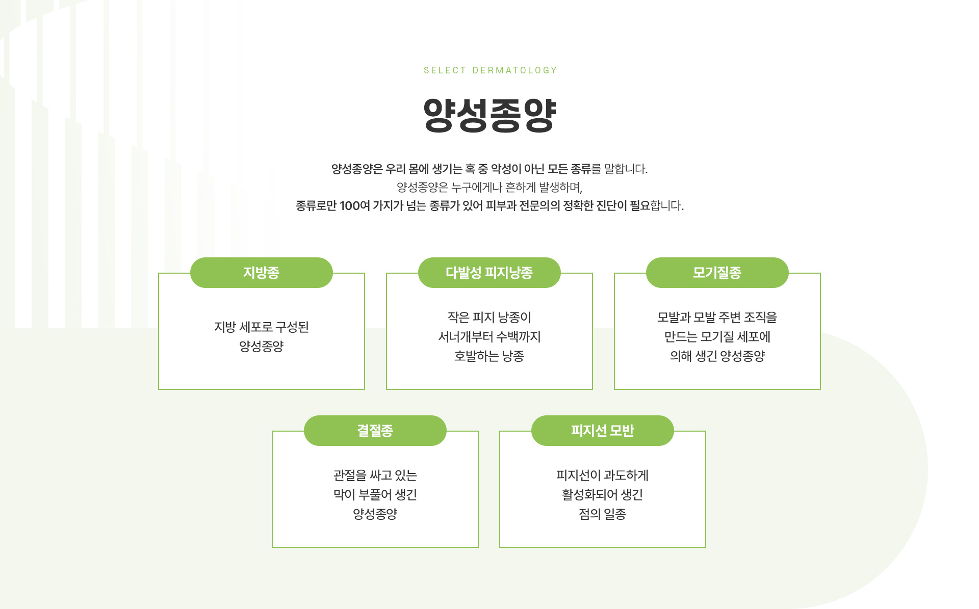 기타양성종양 주의