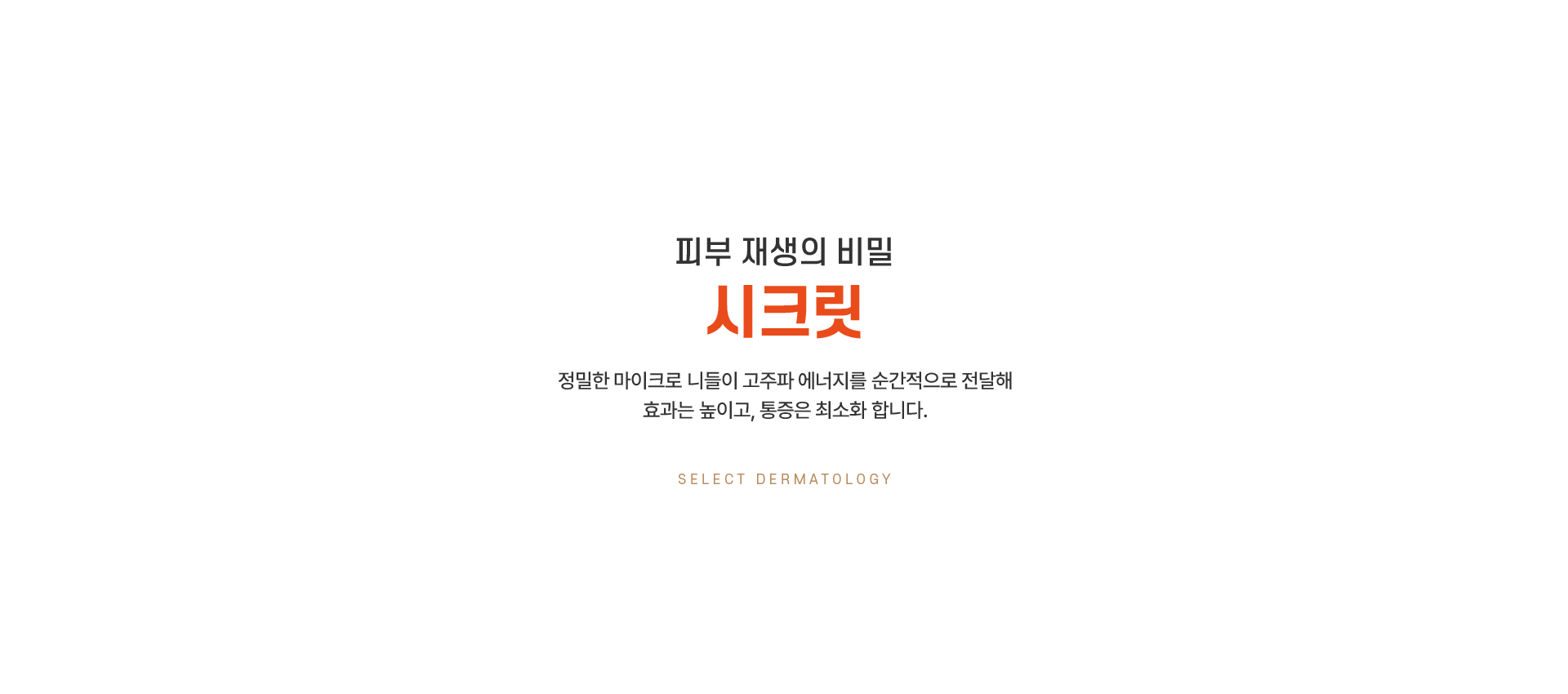 mainSection01_bg2